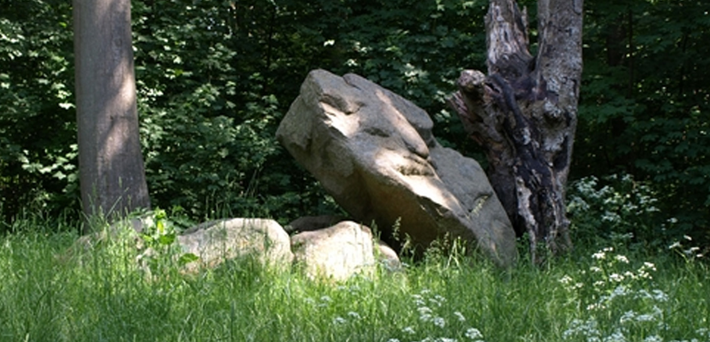 Det vrimler med fortidsminder i Pipstorn Skov.