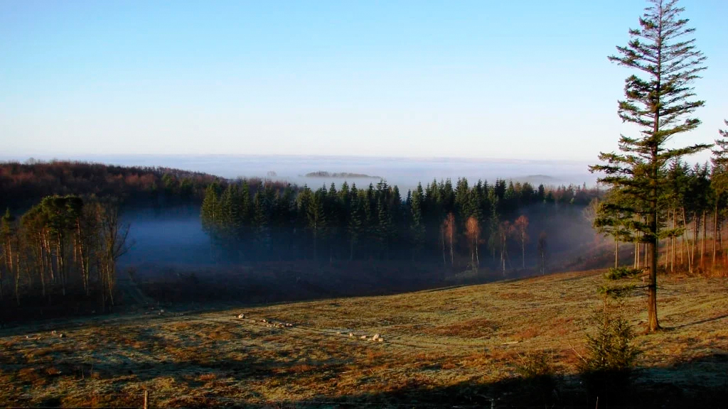Opdag Danmarks unikke natur - vandring i danmark