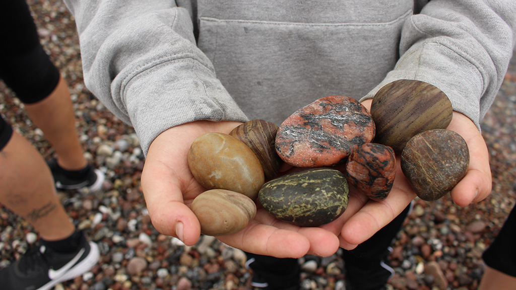 Elev har fundet forskellige stentyper på stranden