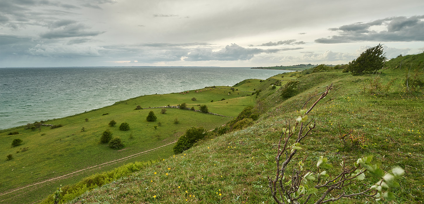 Skredterrasserne ved Voderup Klint fotograferet mod vest