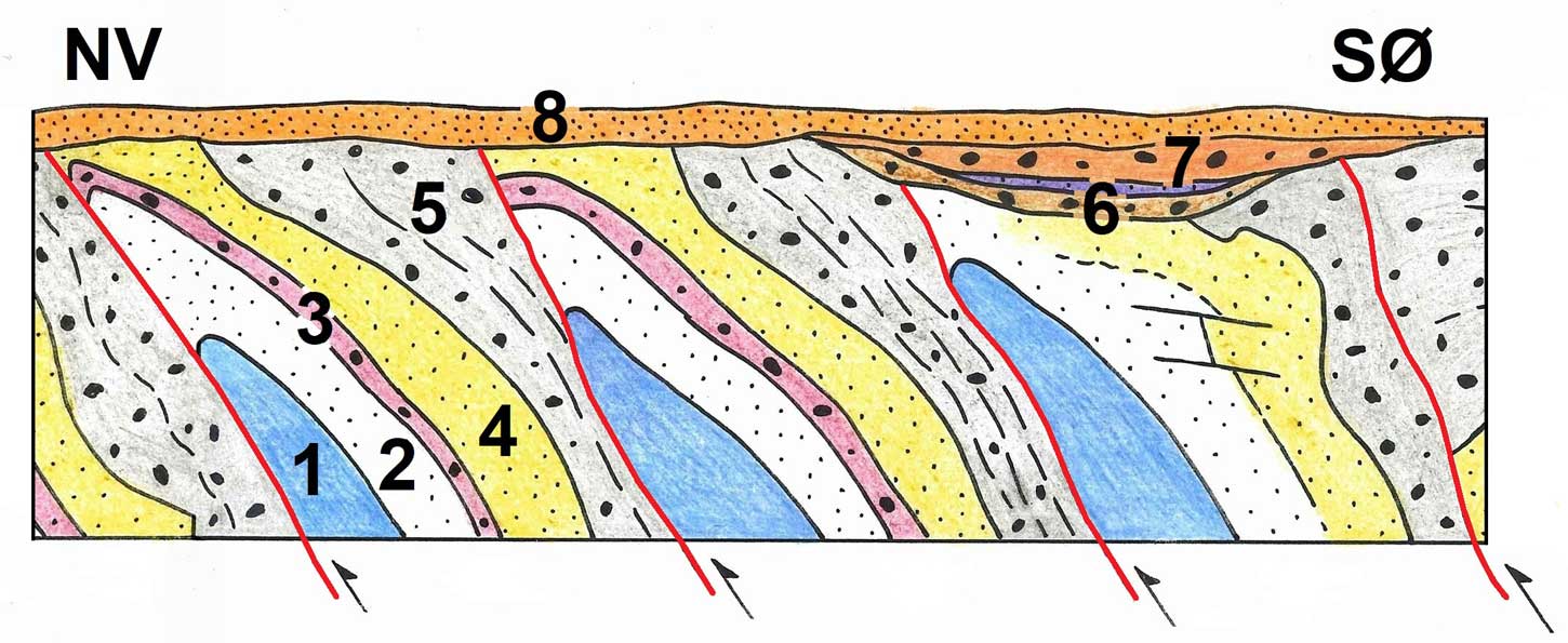 Udsnit af Ristinge Klint. Geopark Det Sydfynske Øhav