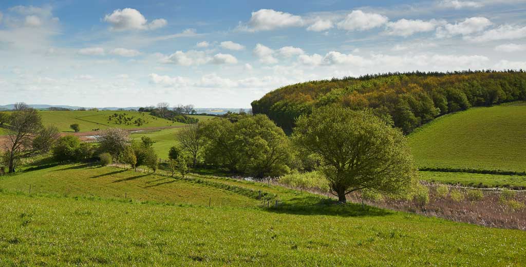 Udsigt fra Askovs Banke, Lyø - Geopark Det Sydfynske Øhav