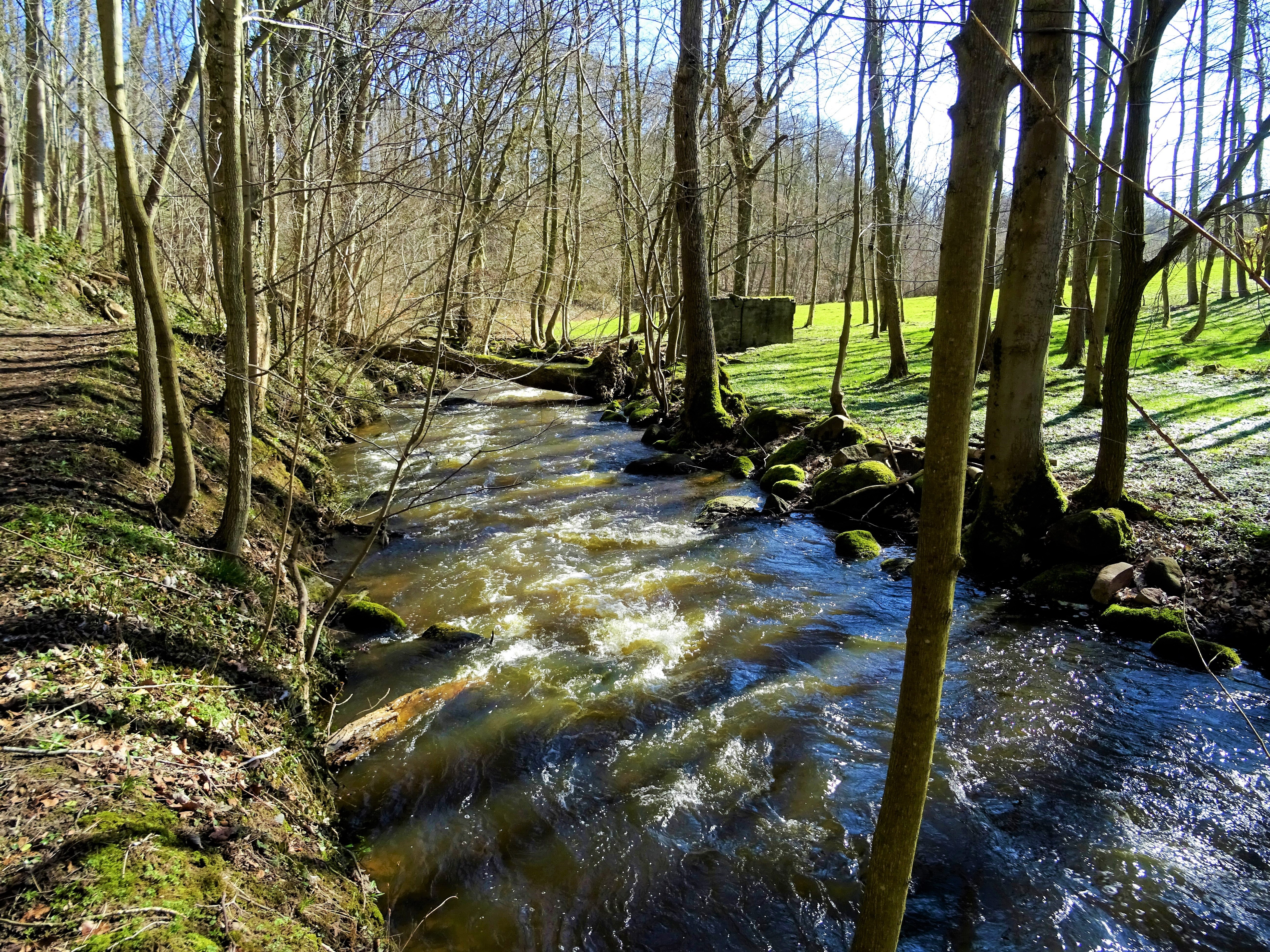 Vejstrup Å. Geopark Det Sydfynske Øhav.
