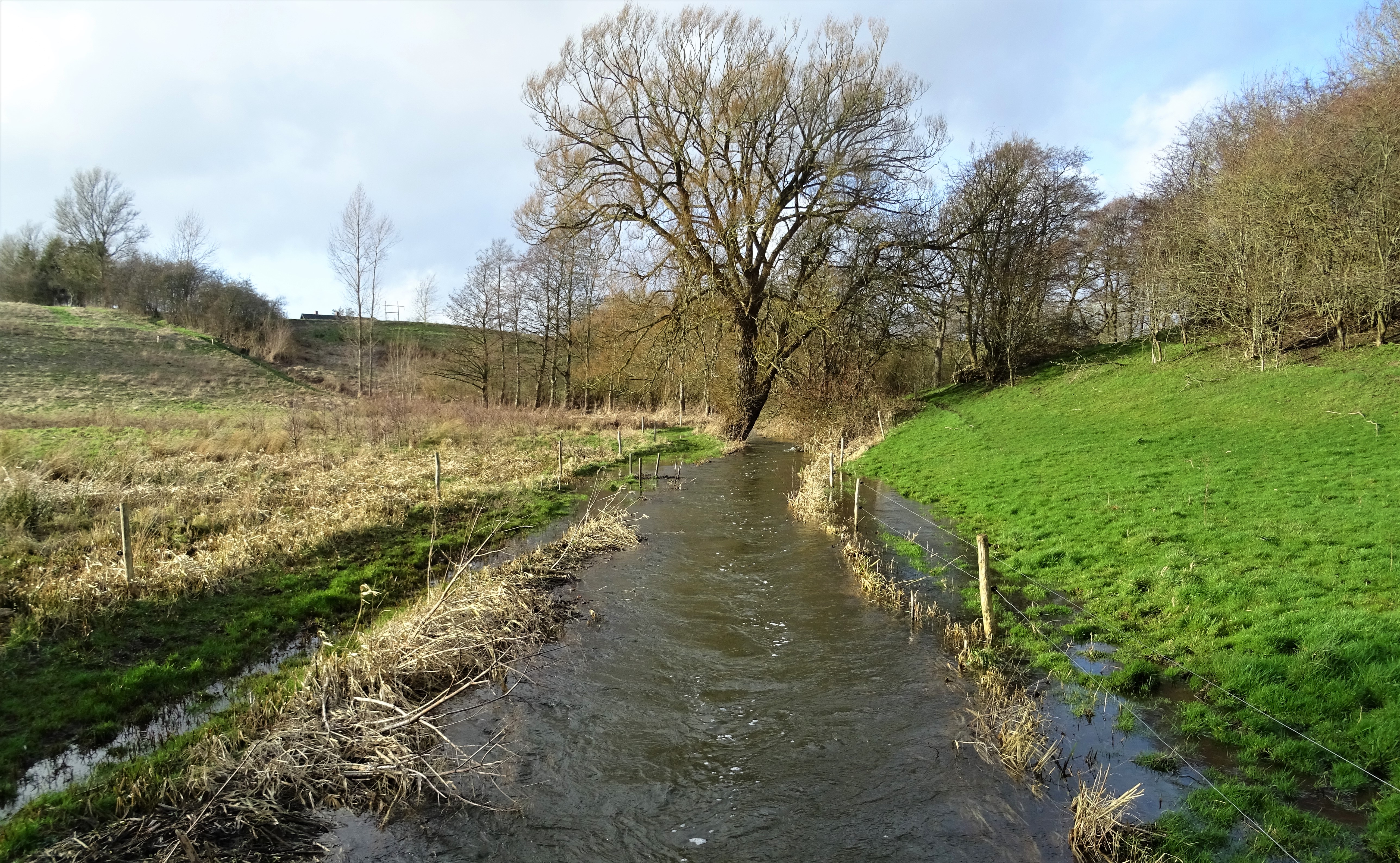 Syltemade Ådal i Geopark Det Sydfynske Øhav.