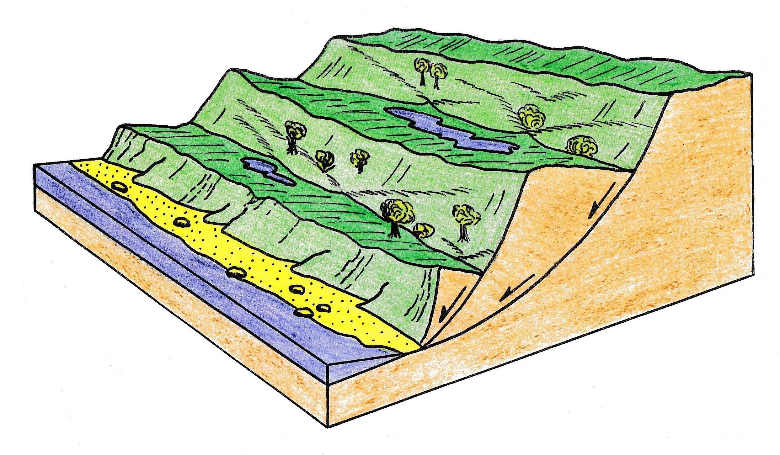 Principskitse af skredterrasserne ved Voderup Klint, Geopark Det Sydfynske Øhav.