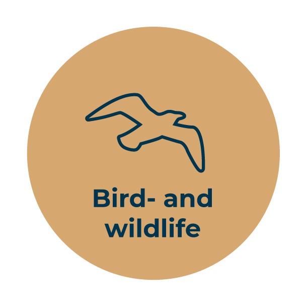 Bird and wildlife Logo