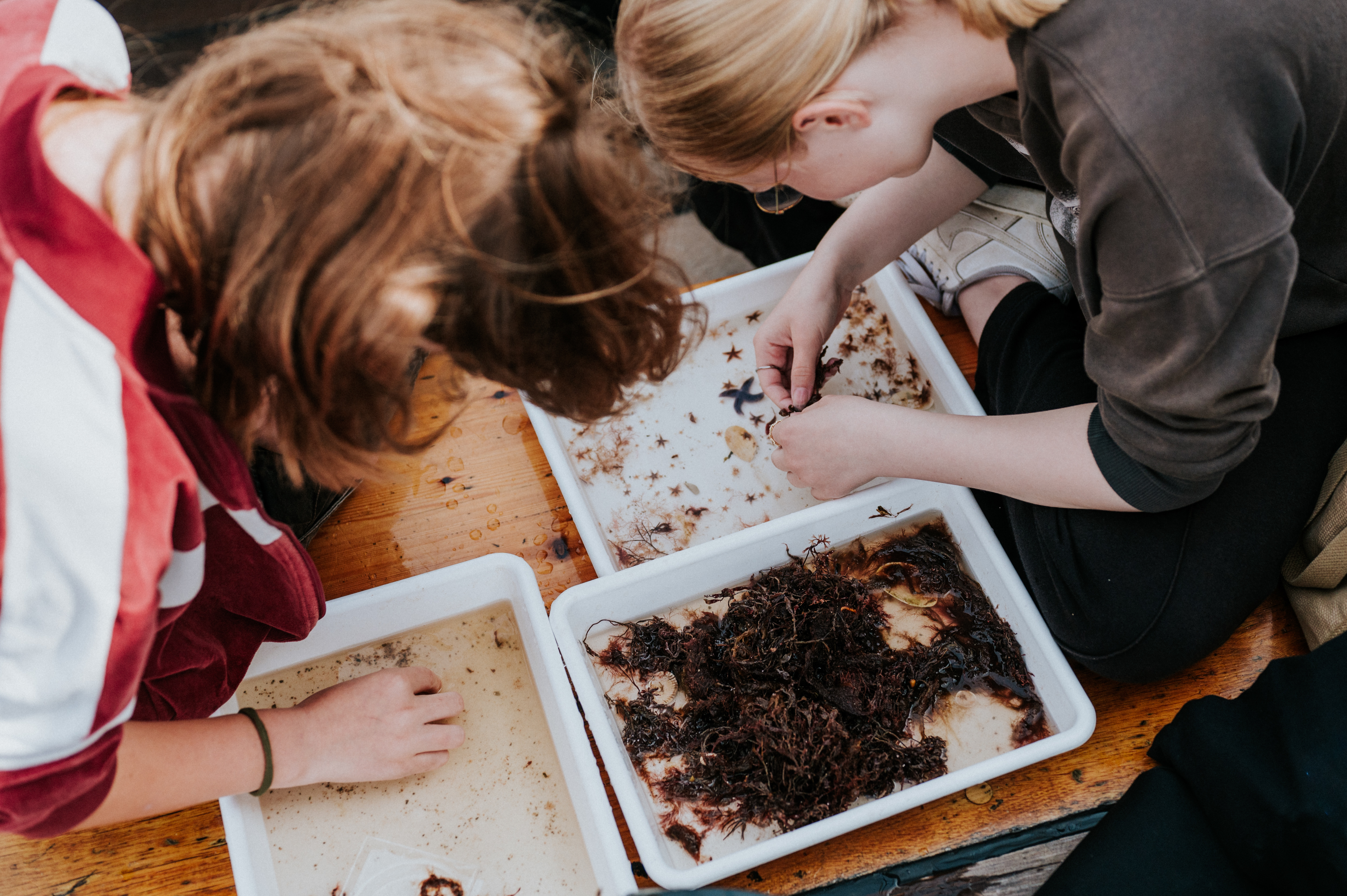 Under Øhavet - Undervisning ombord