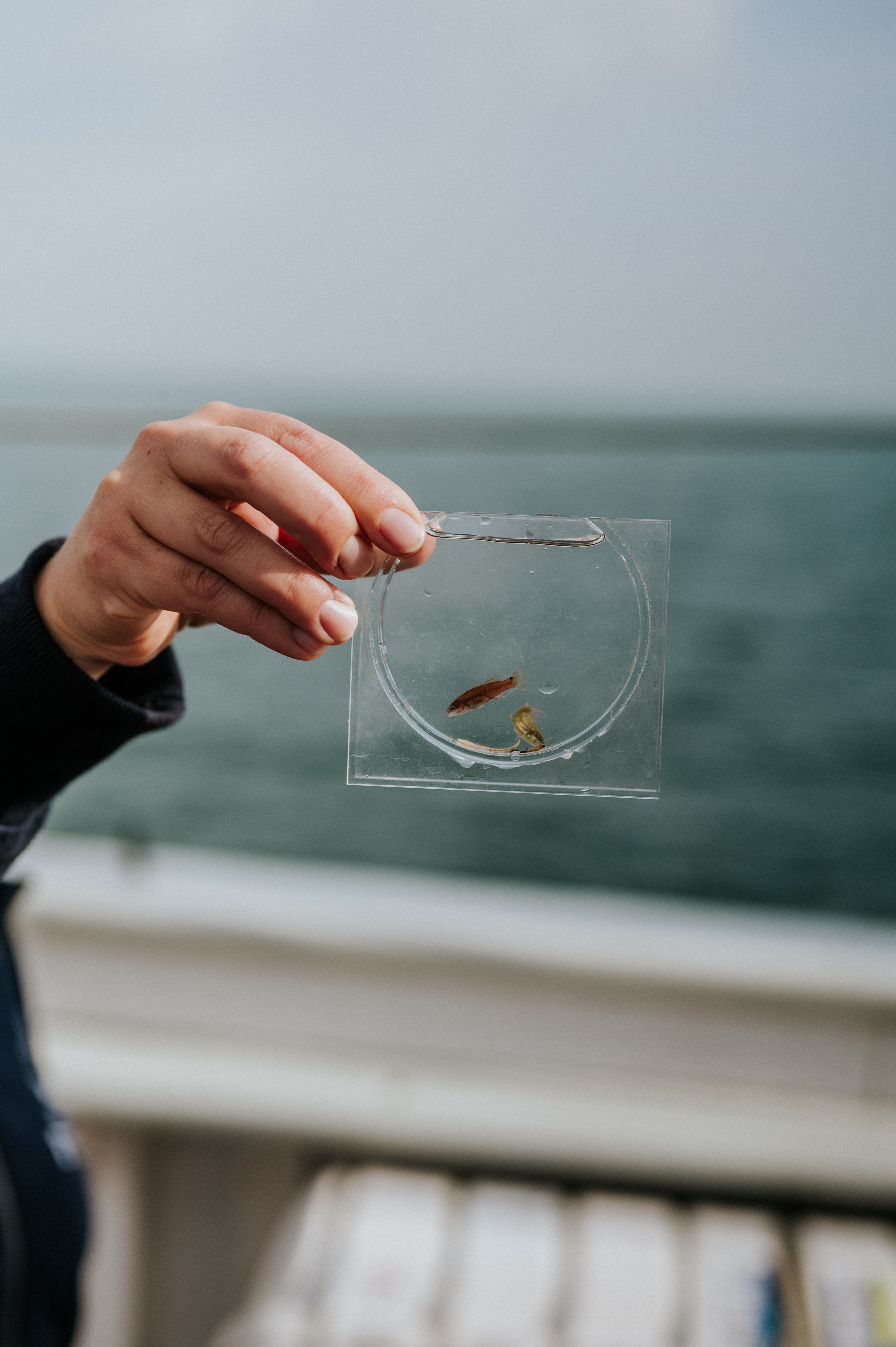 Under Øhavet - Undervisning ombord