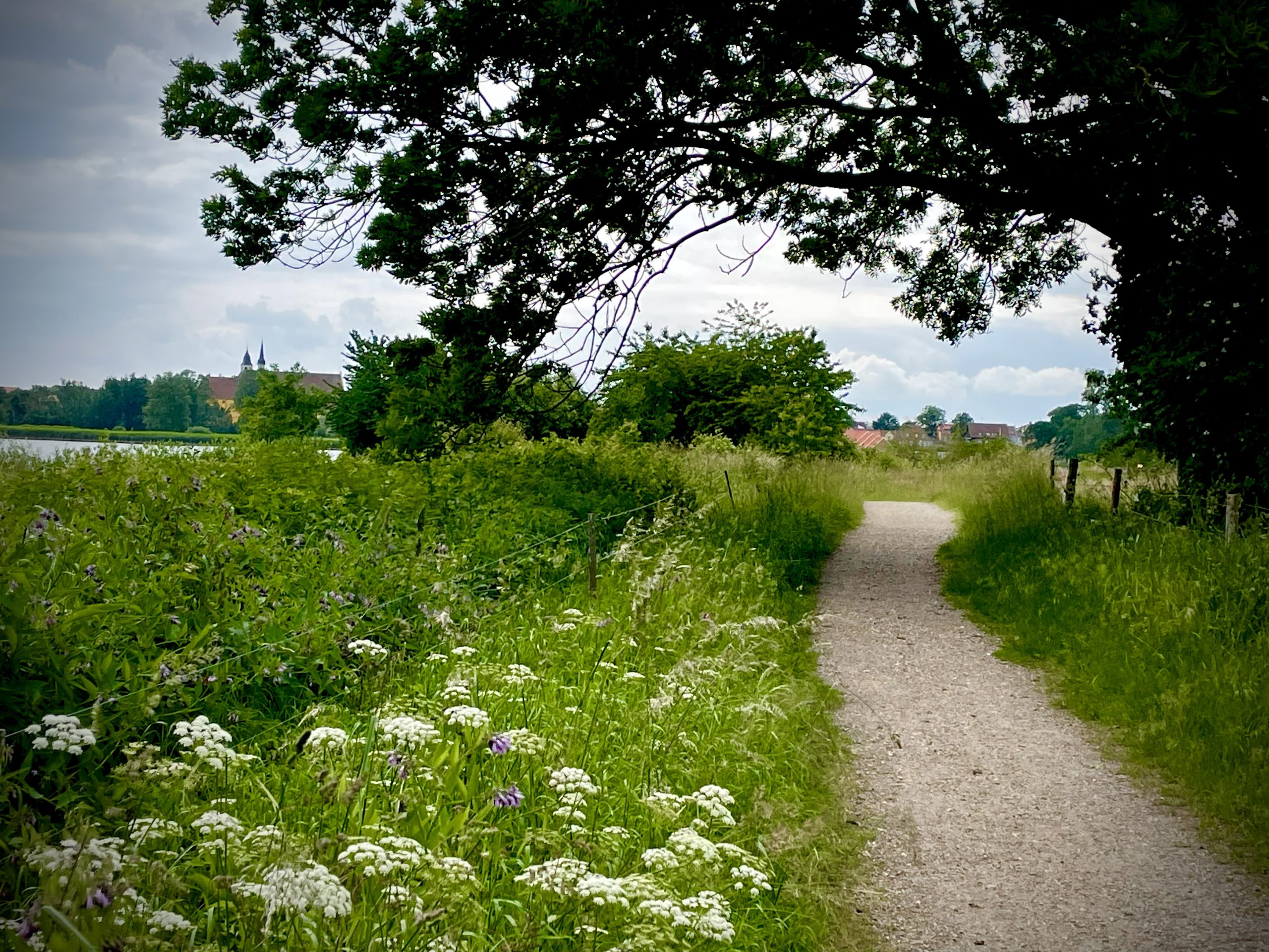 Vandresti langs kysten ved Faaborg