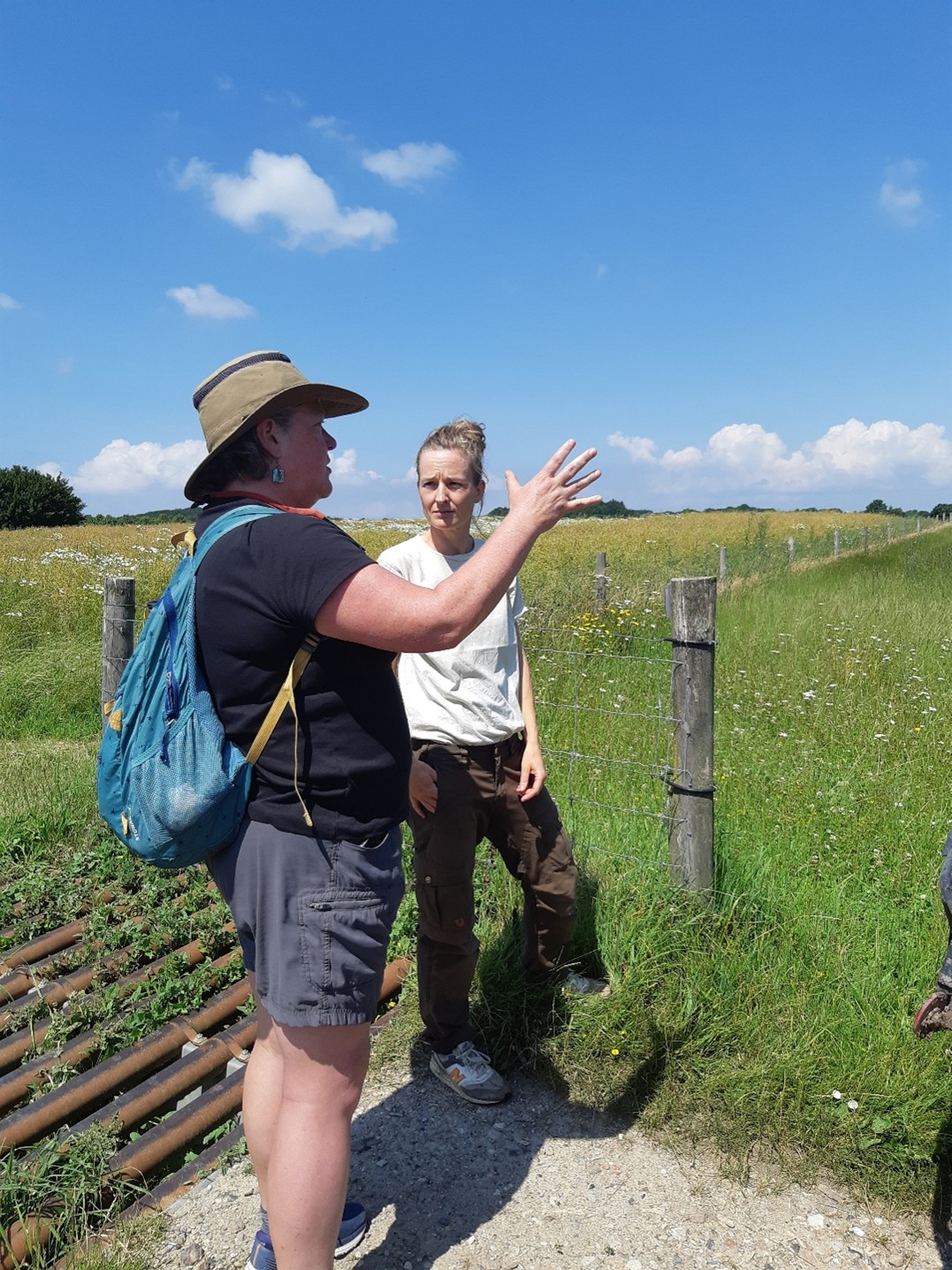 To personer i dialog om Rewilding på Naturdestination Skovsgaard