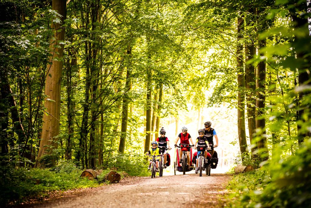 Familie på cykeltur gennem skoven på sydfyn