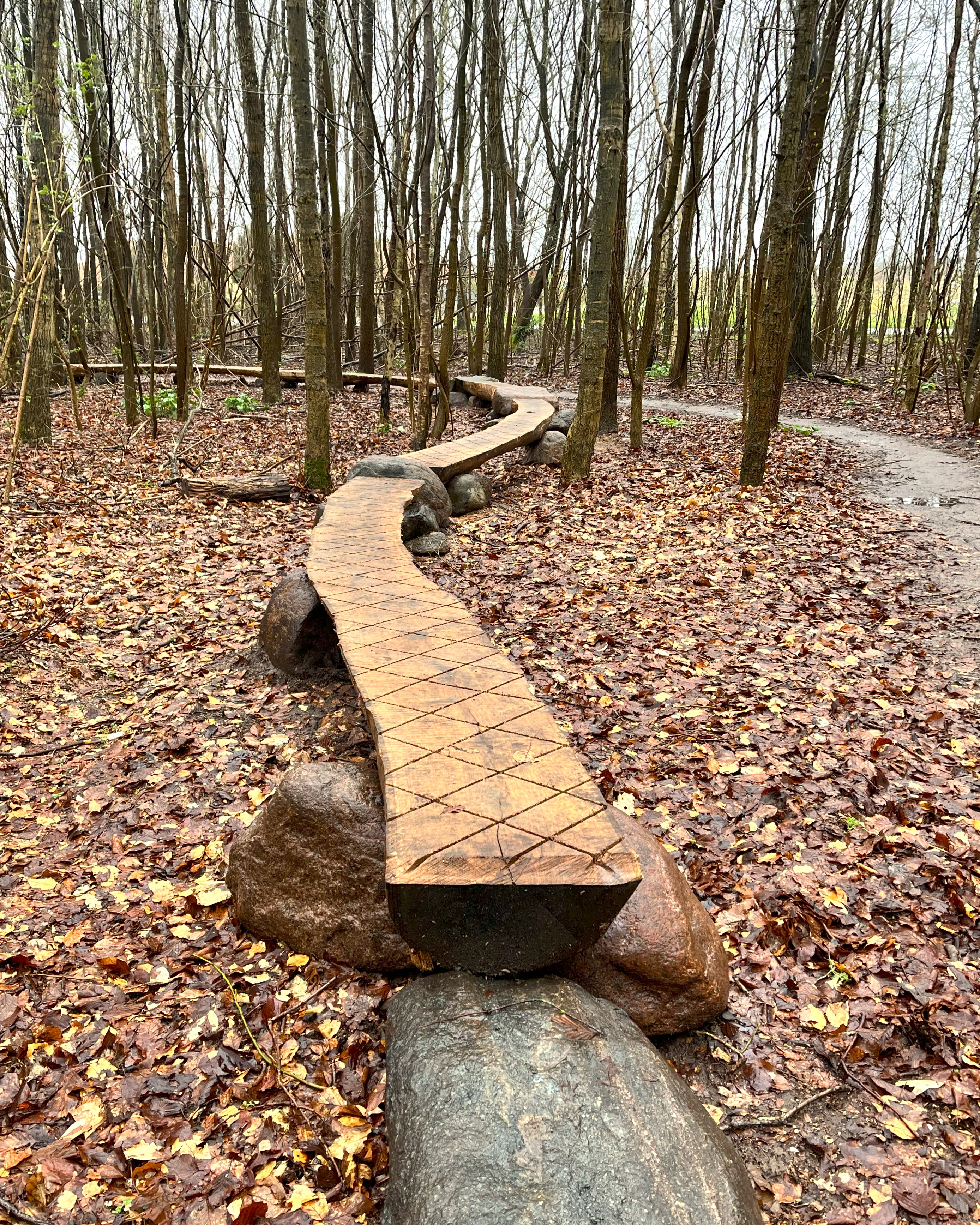 Detalje fra MTB sporet Ibjerg på Sydfyn
