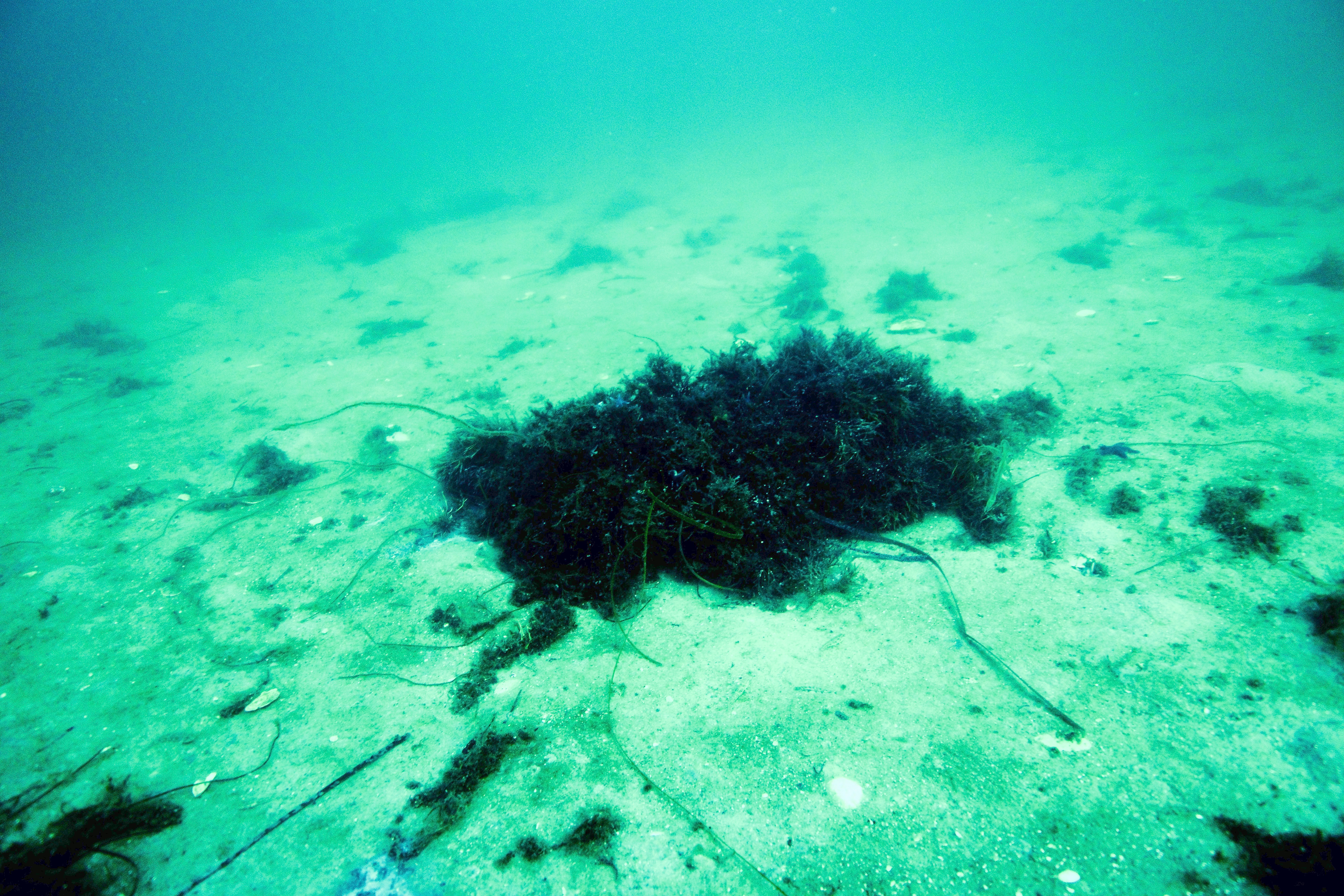 UNDERVANDSFOTOGRAFIER AF HÅRD SAND- OG GRUSBUND OG SPREDTE STEN 
