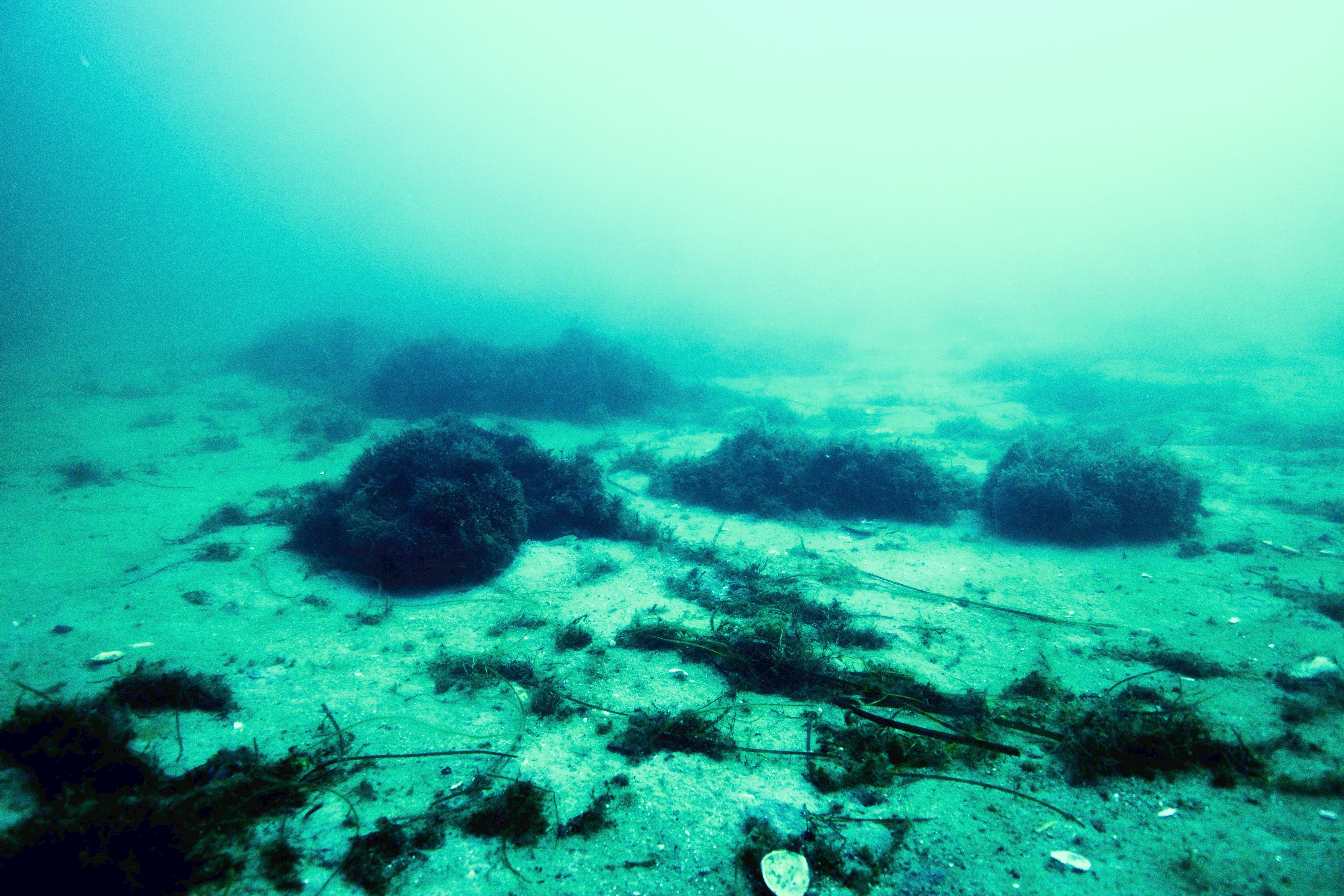 UNDERVANDSFOTOGRAFIER AF HÅRD SAND- OG GRUSBUND OG SPREDTE STEN 