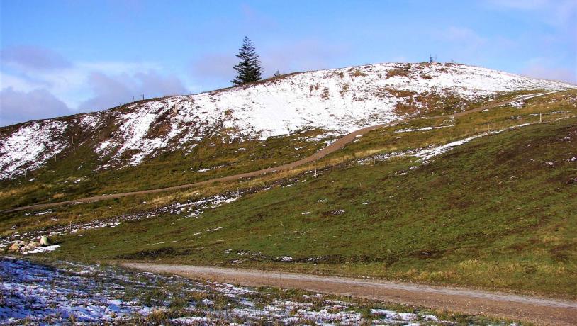 Østsiden af Lerbjerg. Geopark Det Sydfynske Øhav