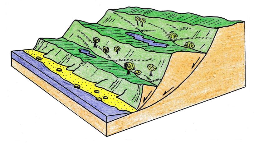 Principskitse af skredterrasserne ved Voderup Klint, Geopark Det Sydfynske Øhav.