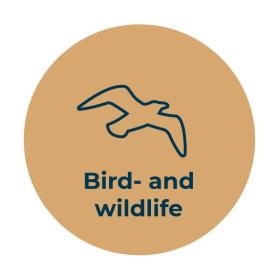 Bird and wildlife Logo